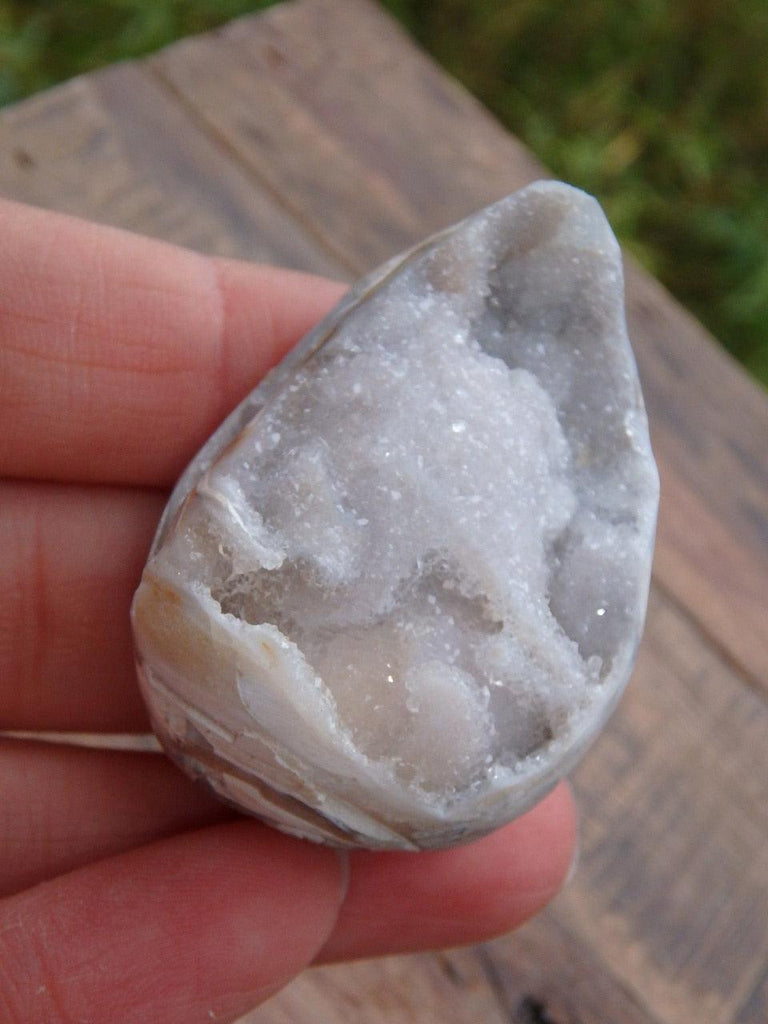 Fabulous Double Layers of White Druzy Quartz Filled Spiralite Gemshell From India - Earth Family Crystals