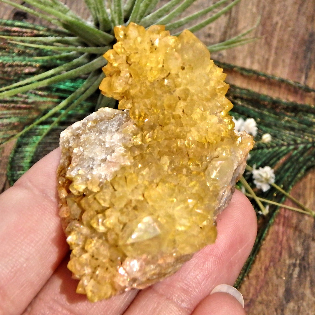 Completely Natural Golden Citrine Sparkly Spirit Quartz Cluster 1 - Earth Family Crystals