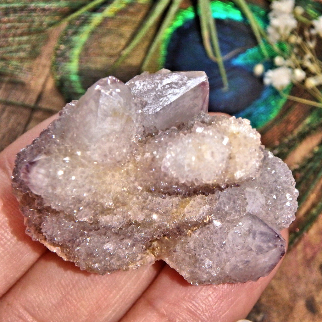 Multi Point Sparkling Ametrine Spirit Quartz Cluster - Earth Family Crystals