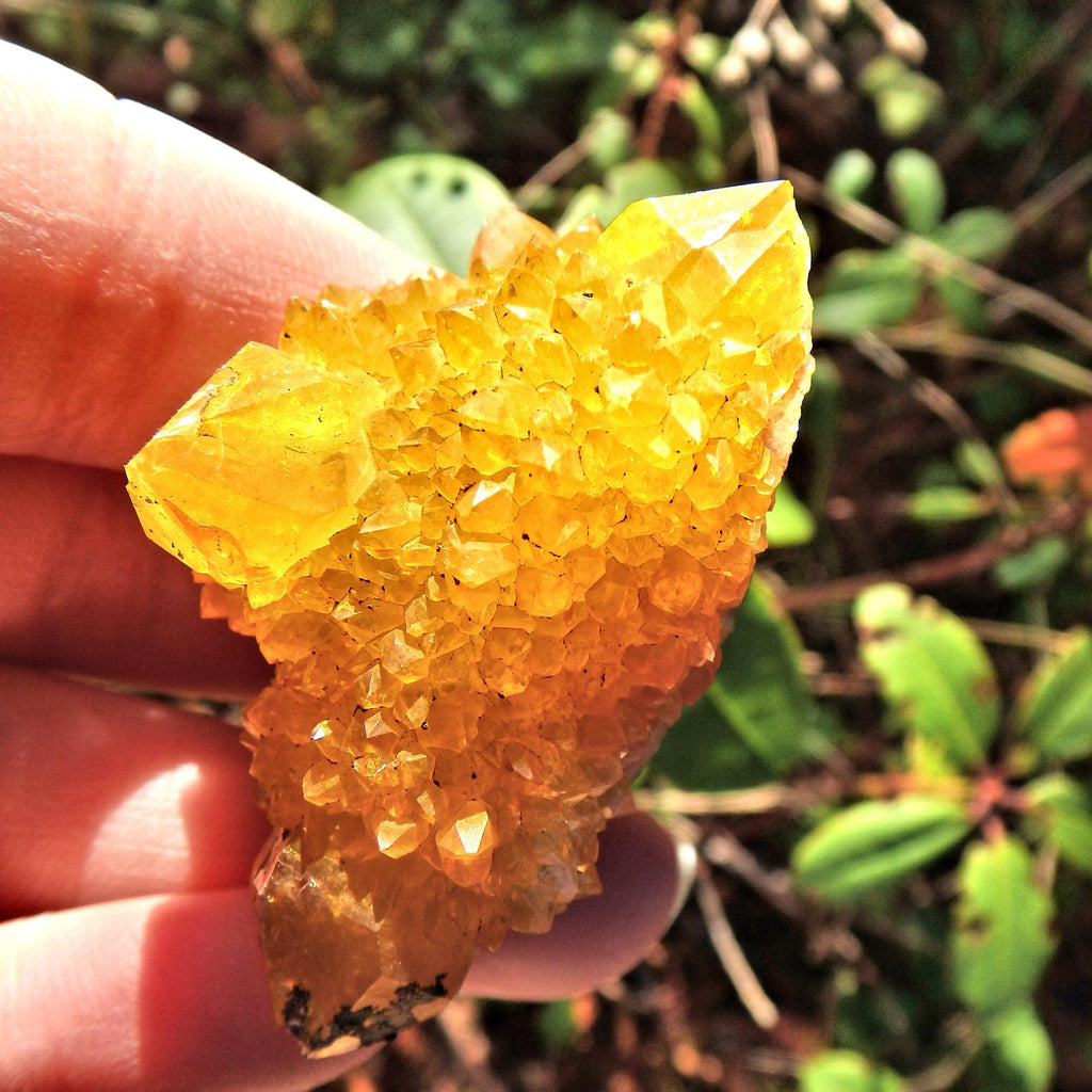 Natural Golden Flame Citrine Spirit Quartz Sparkle Cluster From South Africa - Earth Family Crystals