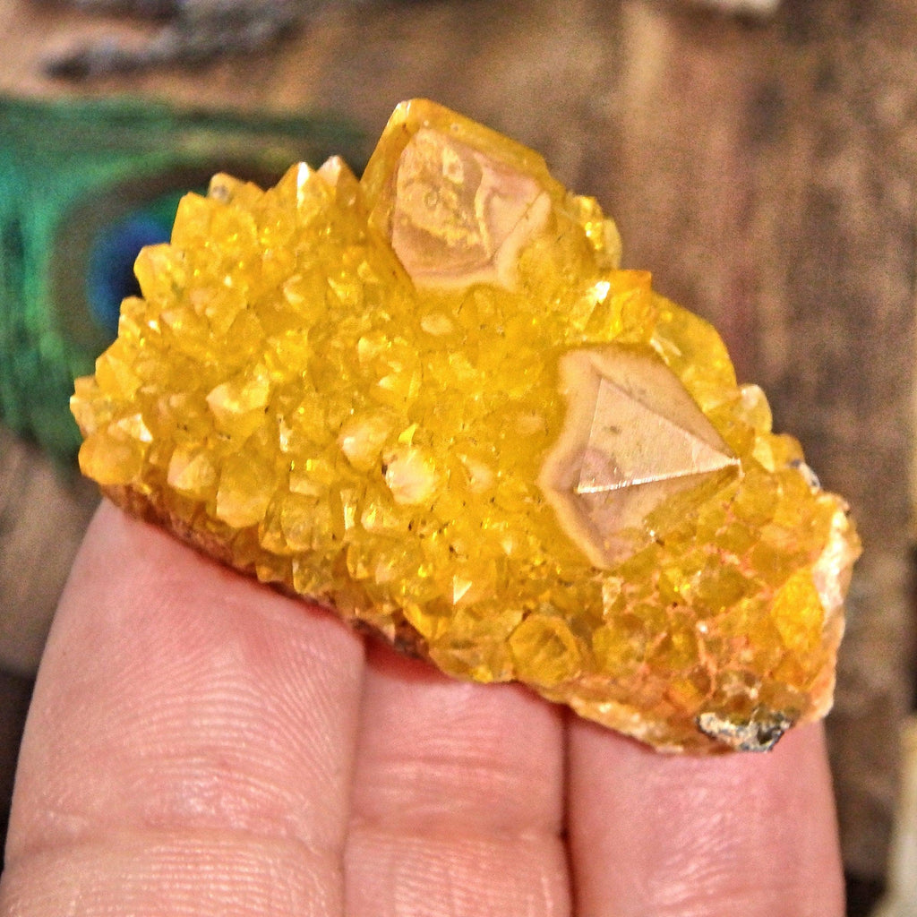 Natural Deep Orange Citrine Spirit Quartz Hand Held Specimen 1 - Earth Family Crystals
