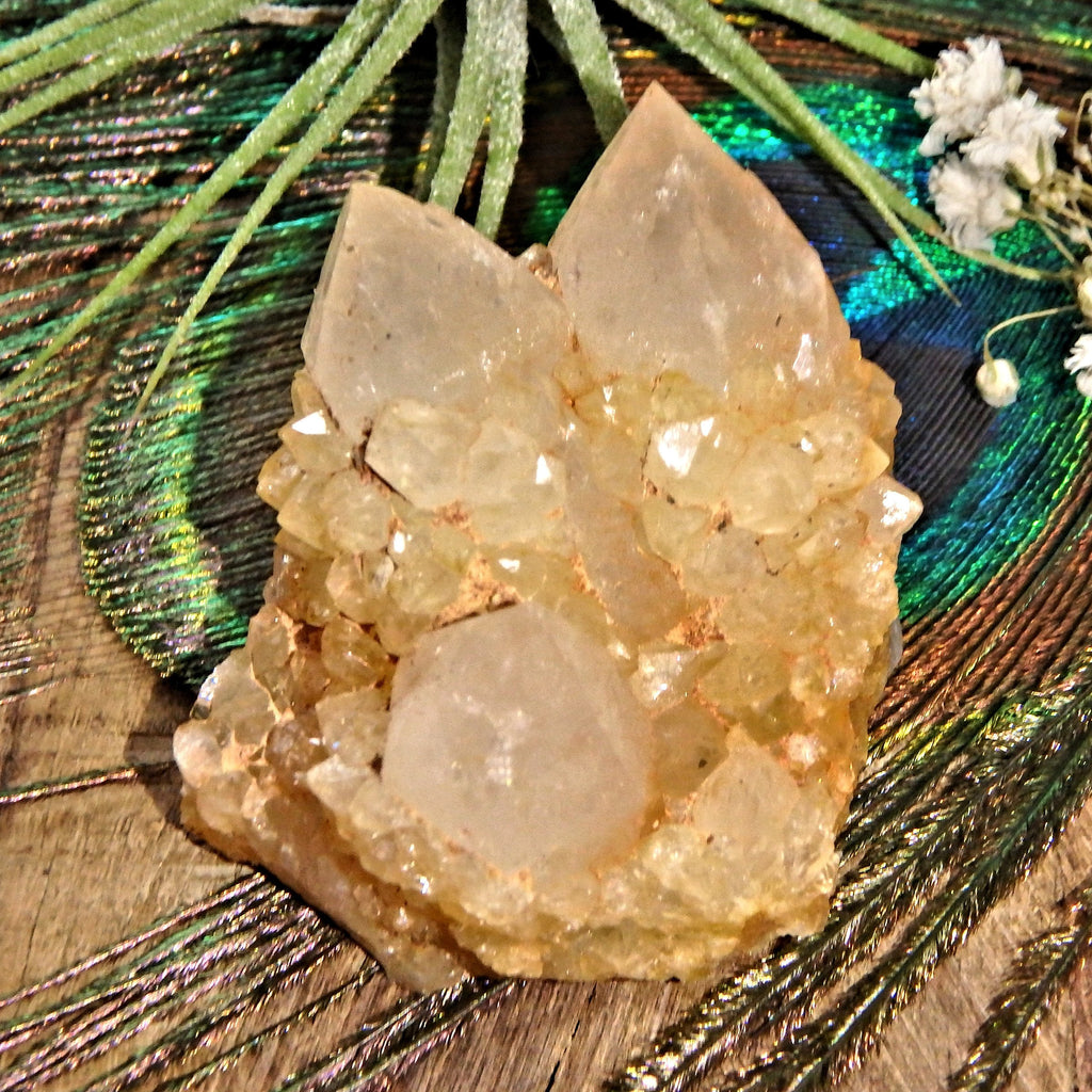 Completely Natural Golden Citrine Sparkly Spirit Quartz Cluster 2 - Earth Family Crystals
