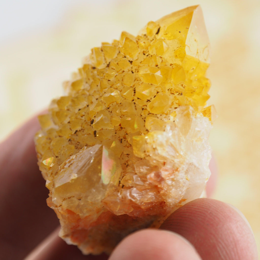 Natural Golden Citrine Spirit Quartz From South Africa9 - Earth Family Crystals