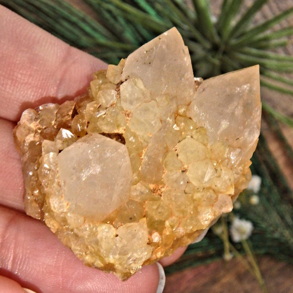 Completely Natural Golden Citrine Sparkly Spirit Quartz Cluster 2 - Earth Family Crystals