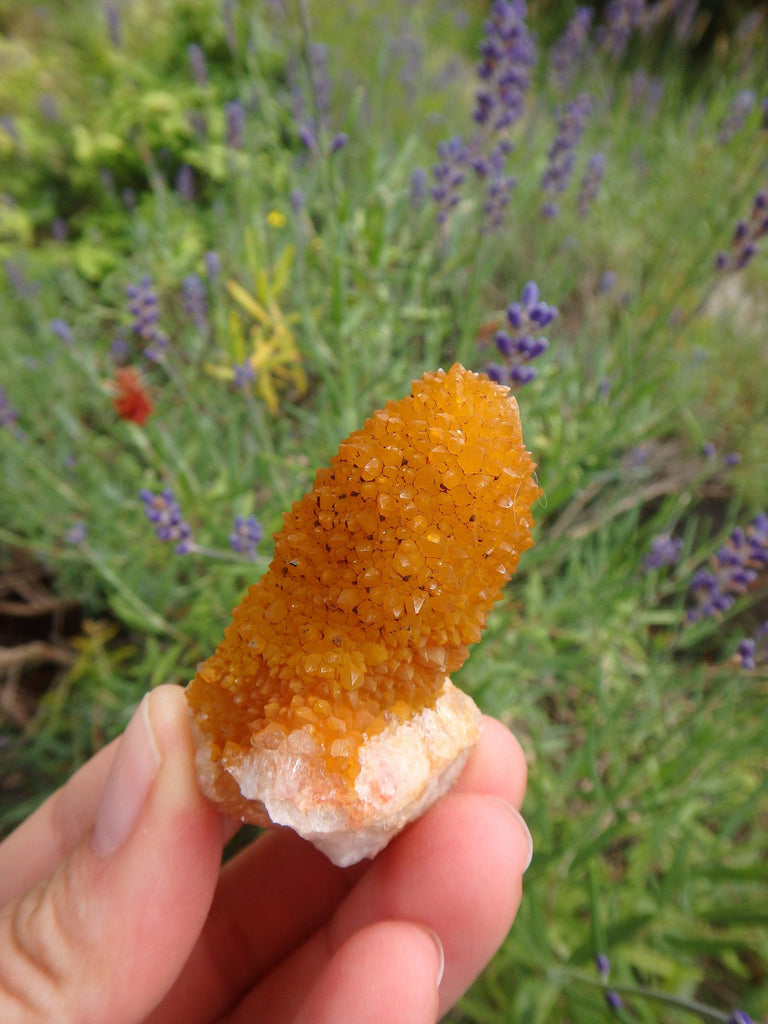 Awesome Natural Citrine Spirit Quartz Point From South Africa 1 - Earth Family Crystals