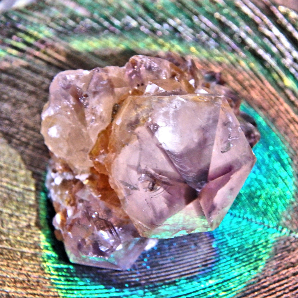 Star Ametrine Dainty Natural Spirit Quartz Cluster - Earth Family Crystals