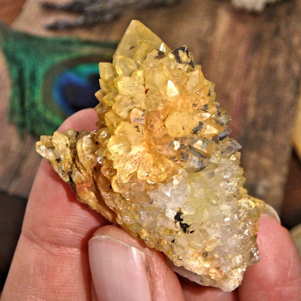 Natural Orange Citrine Spirit Quartz Hand Held Specimen 2 - Earth Family Crystals