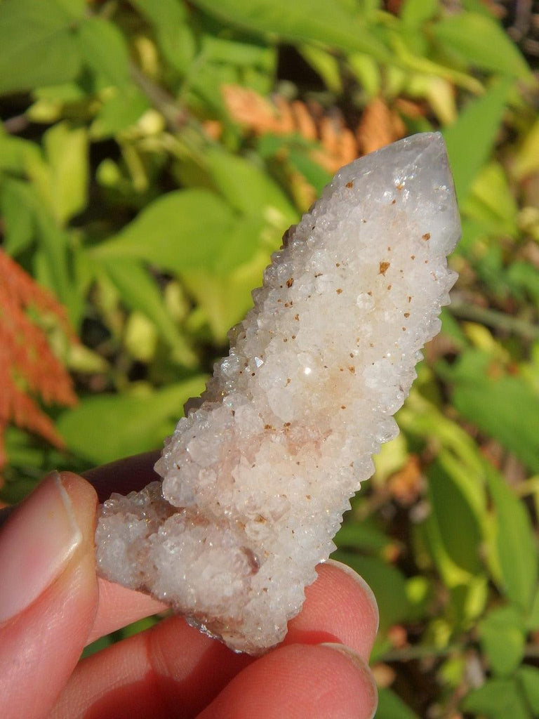 Twinkling Sparkle White Spirit Quartz Point With Phantom & Record Keepers - Earth Family Crystals