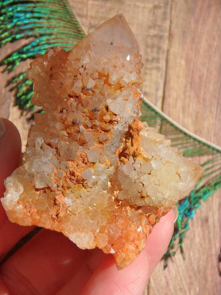 Fabulous Naturally Golden Citrine Spirit Quartz Cluster 3 - Earth Family Crystals