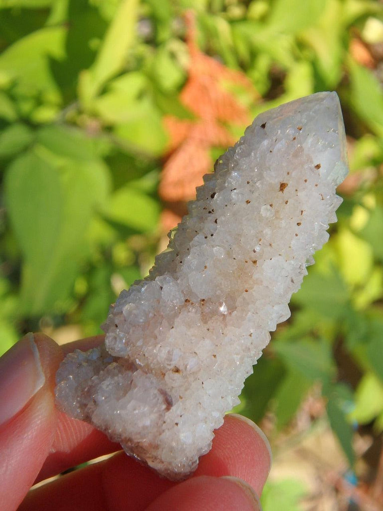 Twinkling Sparkle White Spirit Quartz Point With Phantom & Record Keepers - Earth Family Crystals