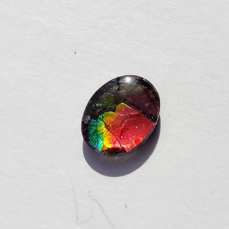 Quartz Capped Alberta Ammolite Small Cabochon in Collectors Box -Ideal for Crafting #2 - Earth Family Crystals
