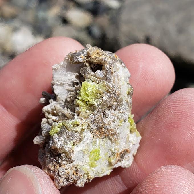 Lime Green Pyromorphite Nestled in Matrix #1 - Earth Family Crystals