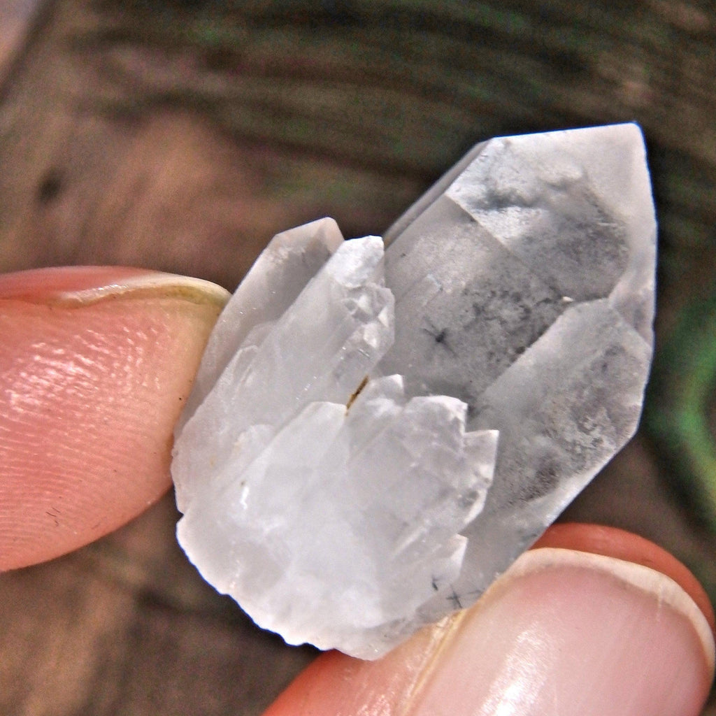 Very Rare Collectors Star Hollandite Elestial Dainty Specimen From Madagascar - Earth Family Crystals
