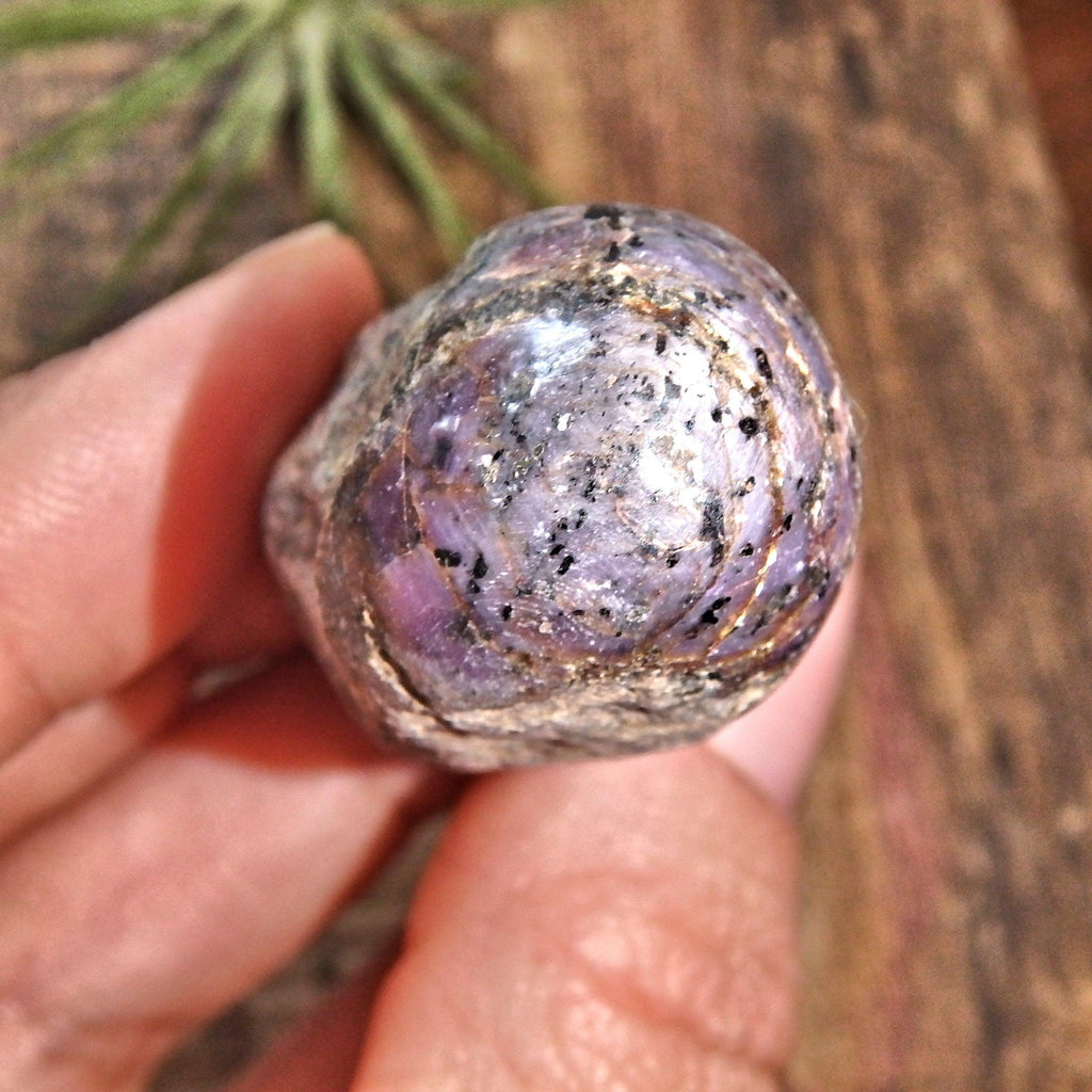 Star Ruby Partially Unpolished Hand Held Point 2 - Earth Family Crystals