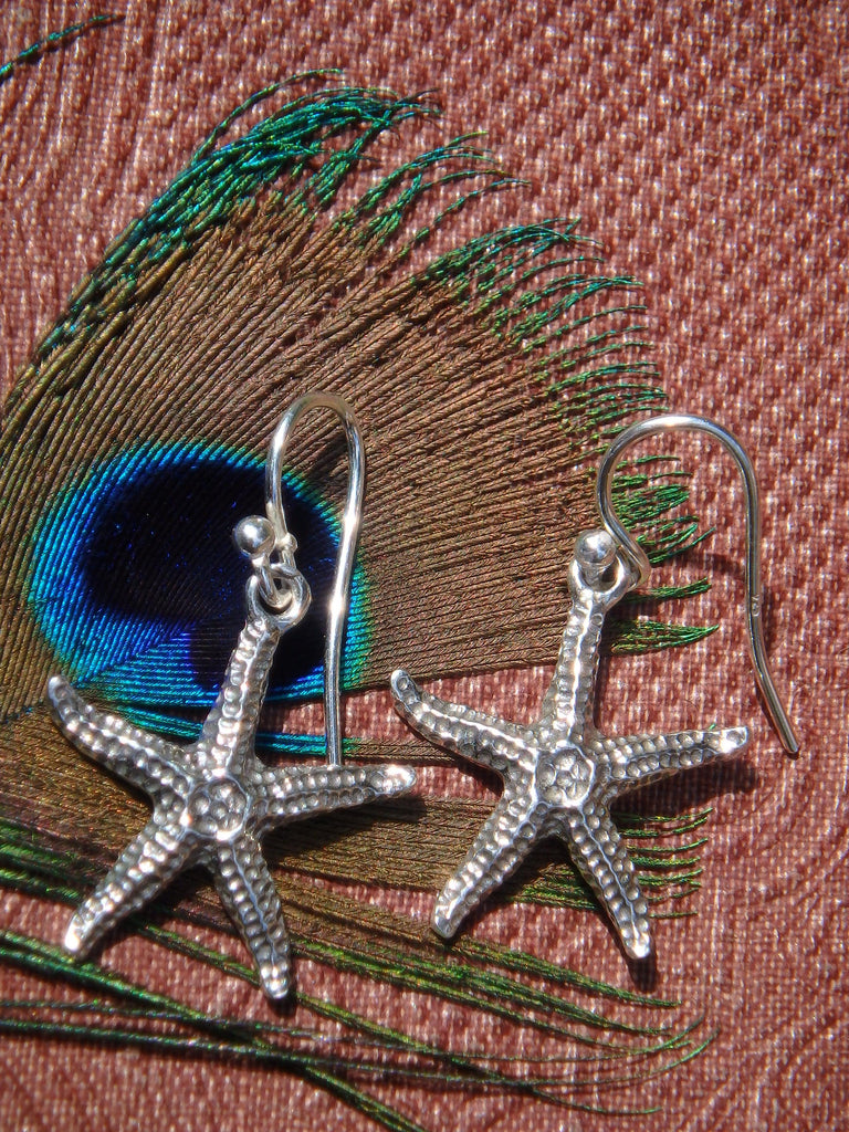 Ocean Lovers Starfish Earrings in Sterling Silver - Earth Family Crystals