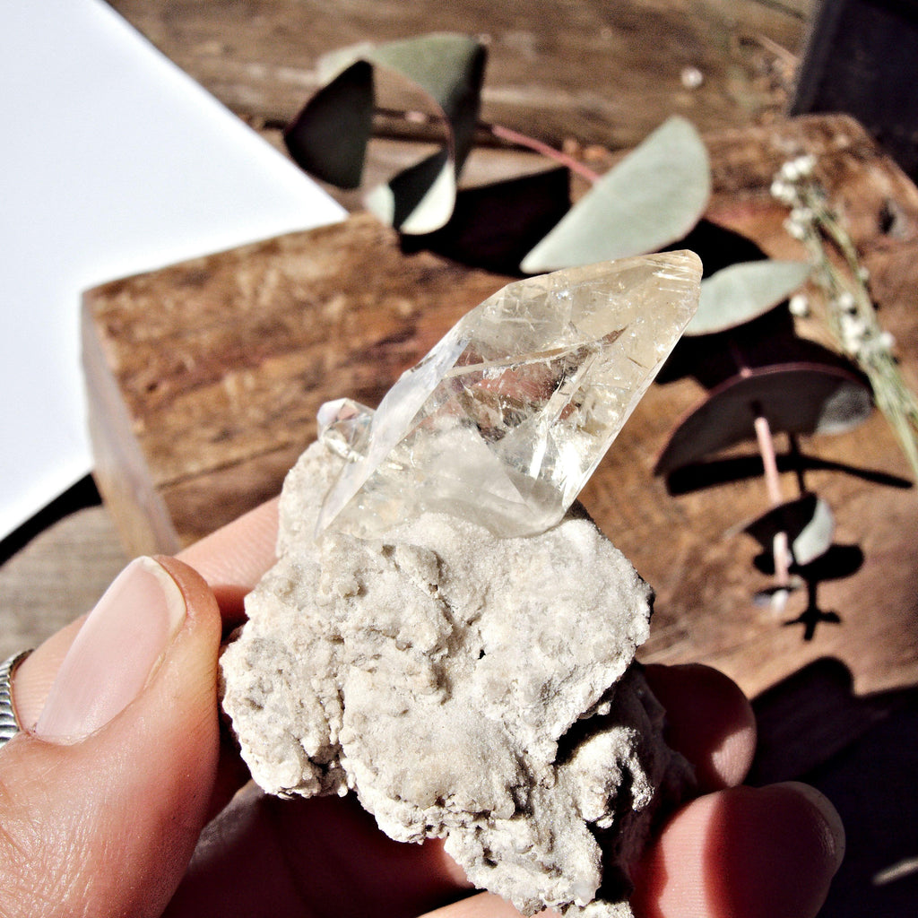 Elmwood Mine DT Golden Stellar Beam Calcite Nestled in Matrix - Earth Family Crystals