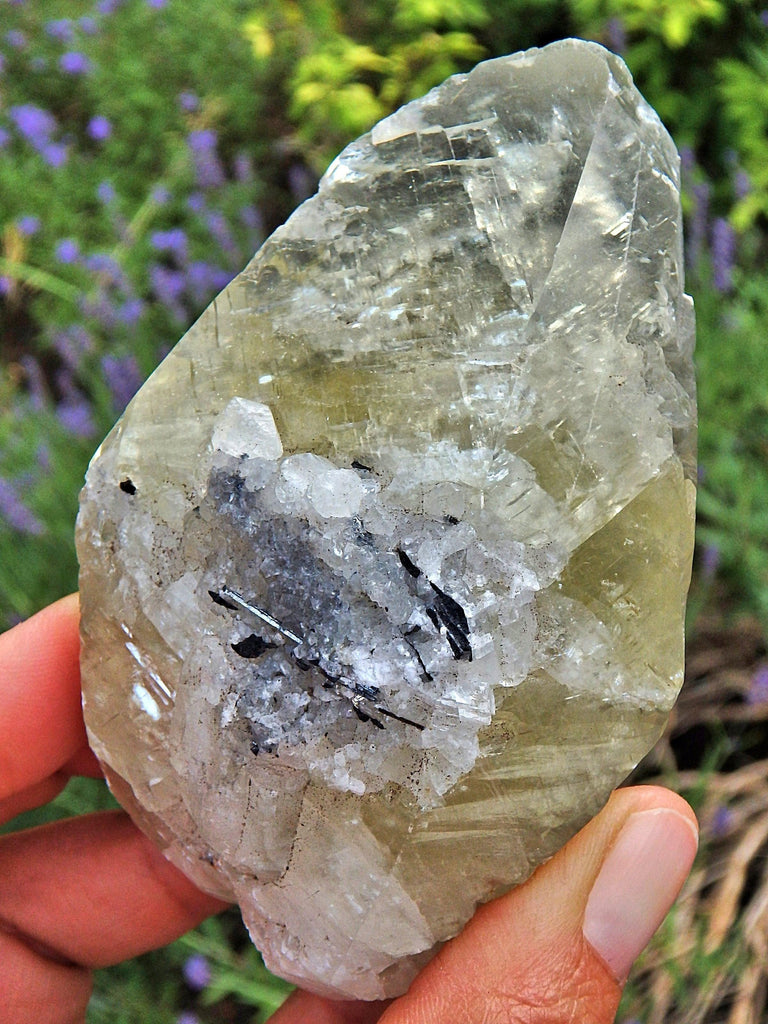 Brilliant Large Golden Calcite Point With Stibnite Inclusions & Self Healing - Earth Family Crystals