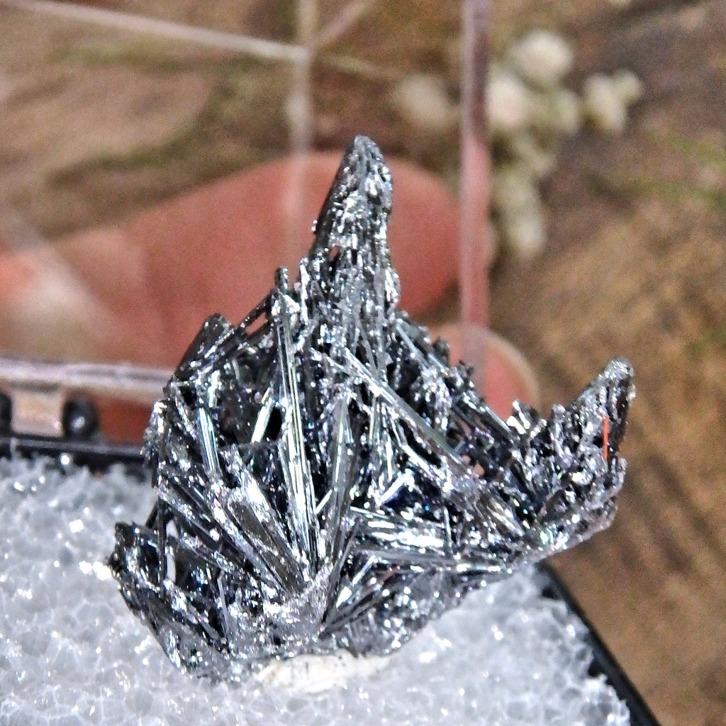 Intricate & Silver Shine Blades of Stibnite Collectors Cluster In Protective Box From Romania - Earth Family Crystals