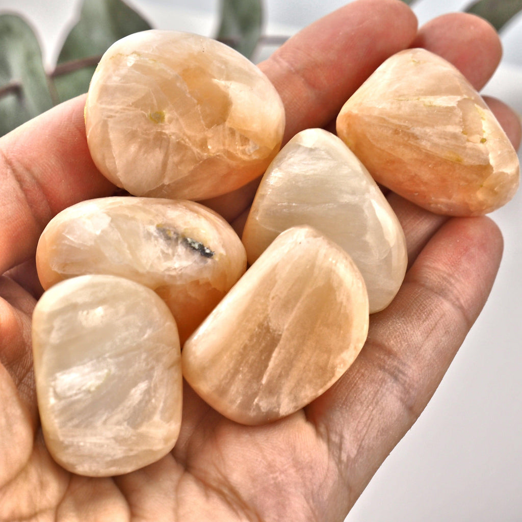 One Lovely Sheen Creamy Pink Stilbite Tumbled Pocket Stone - Earth Family Crystals