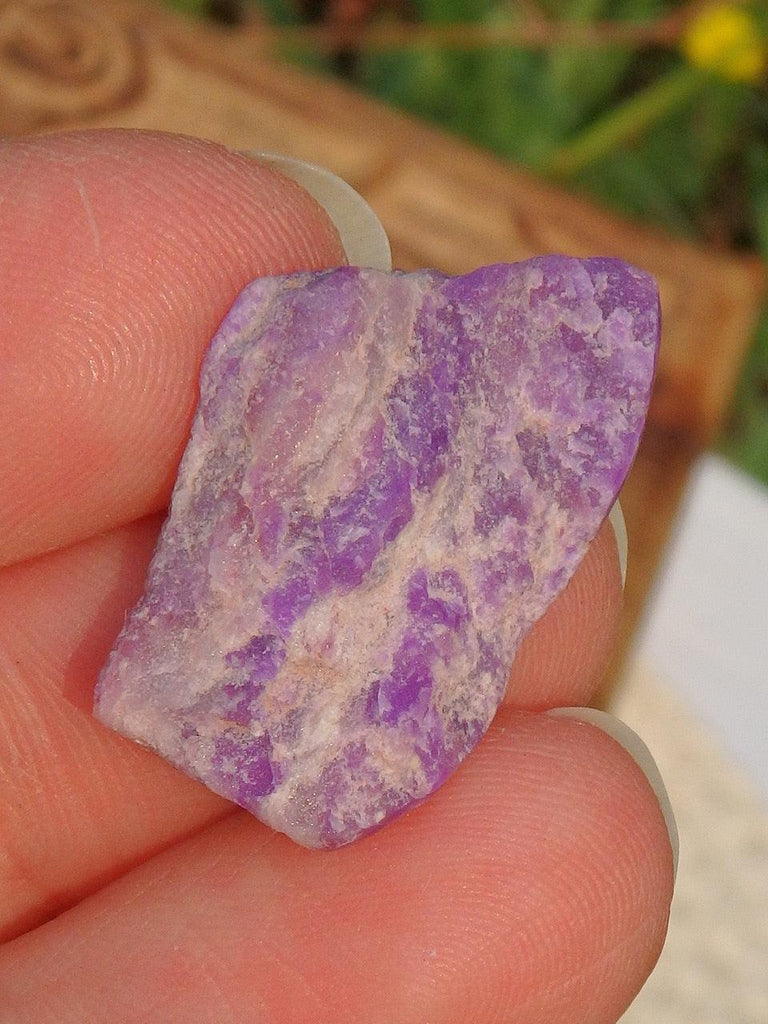 Rare! Genuine Raw Sugilite in Collectors Box - Earth Family Crystals