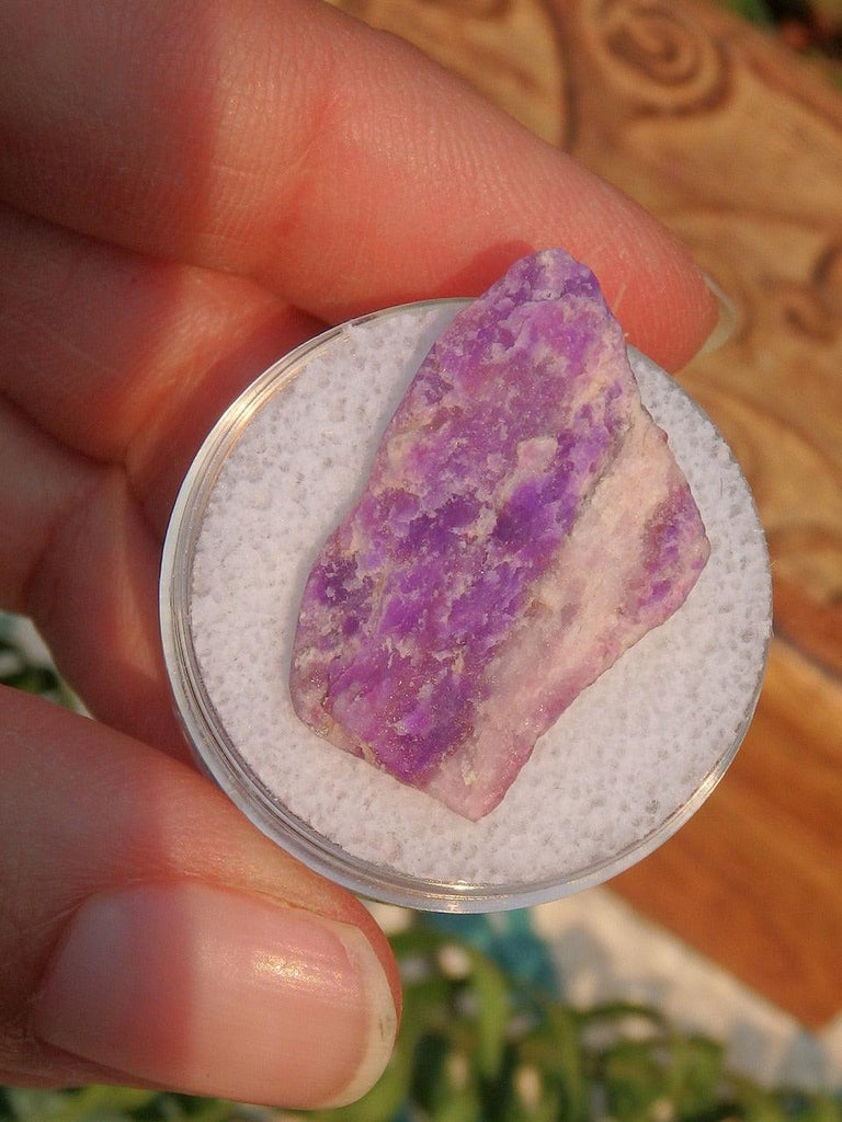 Rare! Genuine Raw Sugilite in Collectors Box - Earth Family Crystals