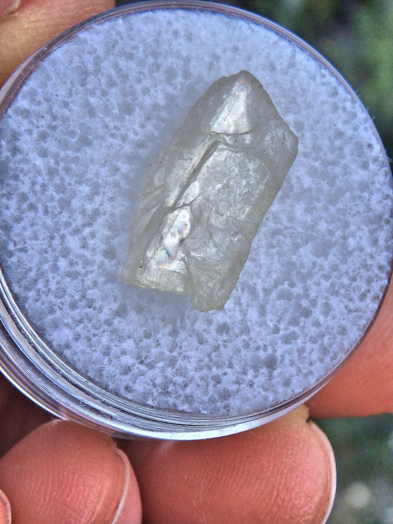 Golden Arizona Natural Sunstone in Collectors Box 1 - Earth Family Crystals