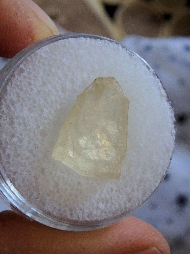 Rare Golden Arizona Sunstone in Collectors Box 1 - Earth Family Crystals