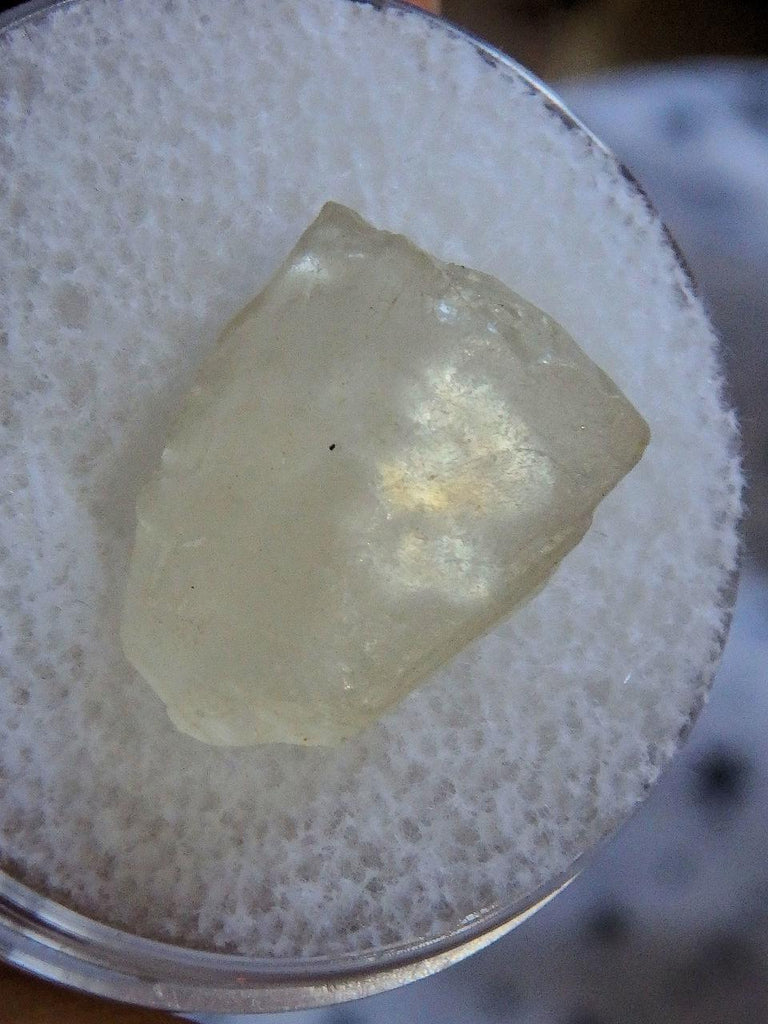 Rare Golden Arizona Sunstone in Collectors Box 1 - Earth Family Crystals