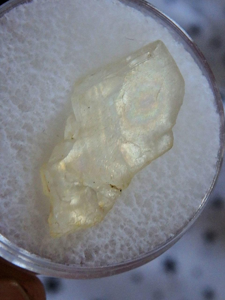 Rare Golden Arizona Sunstone in Collectors Box 3 - Earth Family Crystals