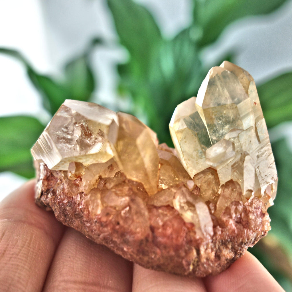 Tangerine Quartz Cluster From Brazil 8 - Earth Family Crystals