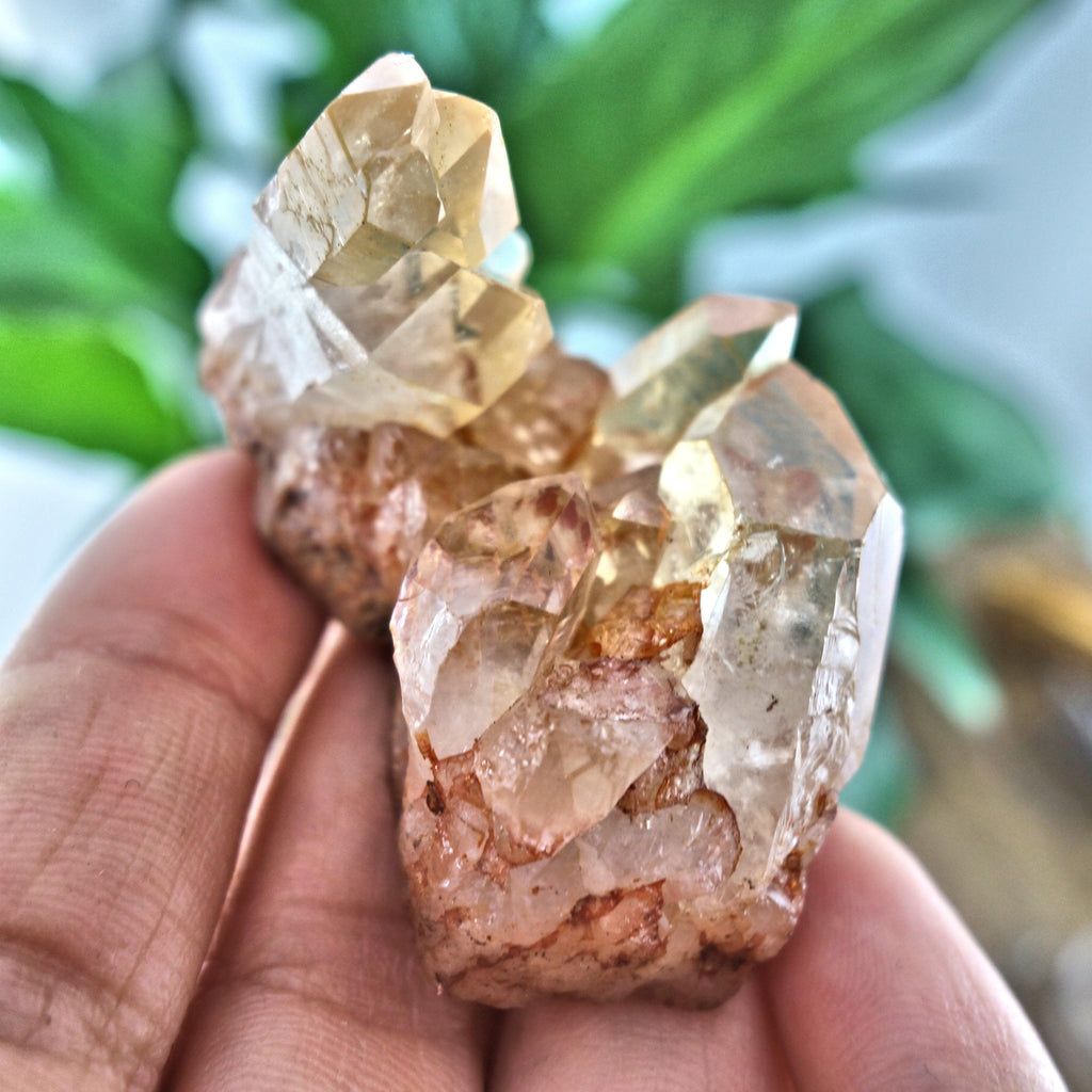 Tangerine Quartz Cluster From Brazil 8 - Earth Family Crystals