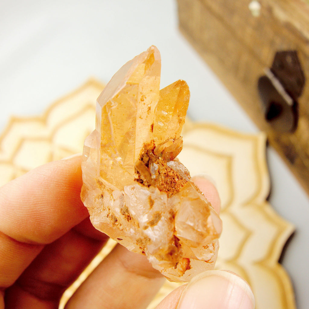 Adorable Dainty Tangerine Quartz Cluster From Brazil - Earth Family Crystals
