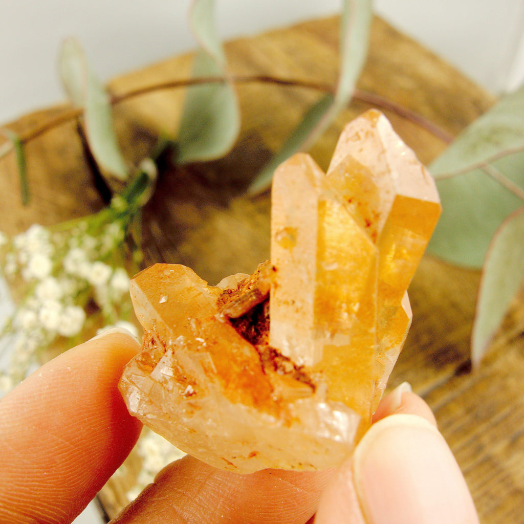 Adorable Dainty Tangerine Quartz Cluster From Brazil - Earth Family Crystals