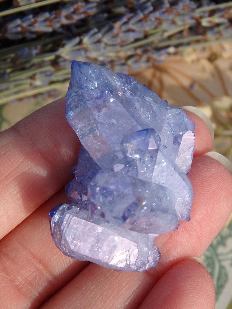 Tanzan Aura Quartz Cluster 2 - Earth Family Crystals