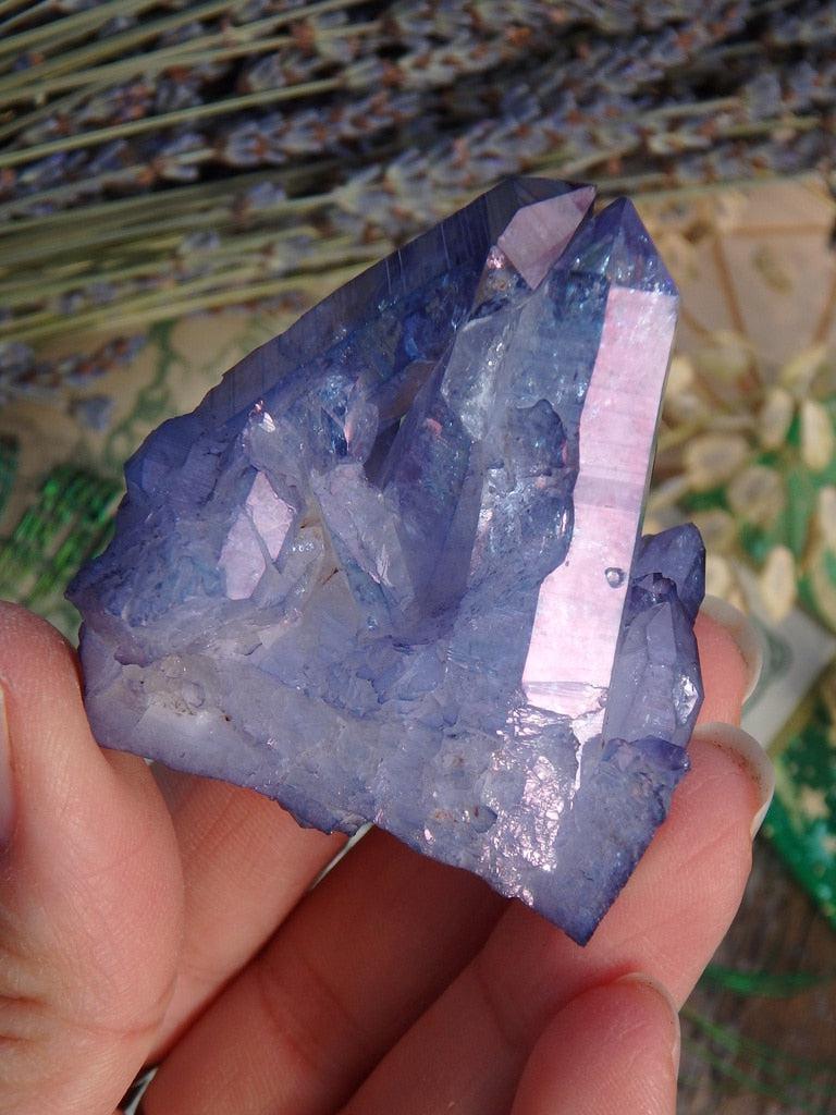 Tanzan Aura Quartz Cluster 8 - Earth Family Crystals
