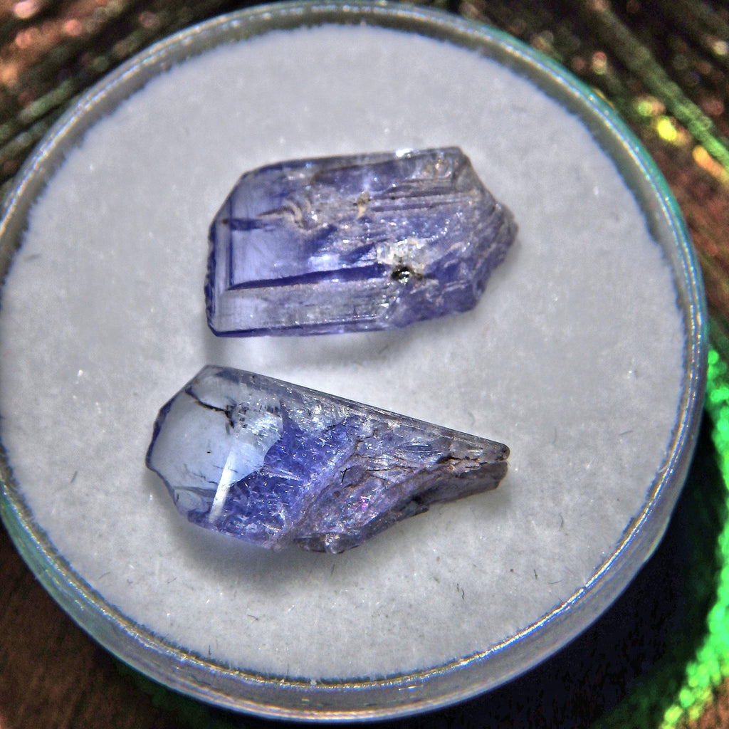 Set of 2 Natural Gemmy Tanzanite Points in Collectors Box - Earth Family Crystals