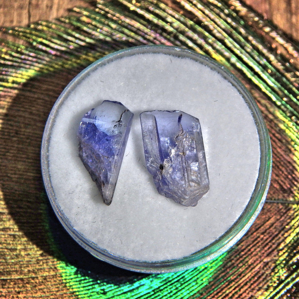 Set of 2 Natural Gemmy Tanzanite Points in Collectors Box - Earth Family Crystals