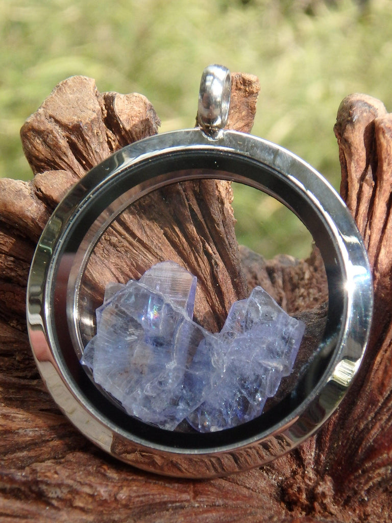 Floating Gemmy Tanzanite Natural Crystals in Stainless Steel Locket Style Pendant (Includes Silver Chain) - Earth Family Crystals