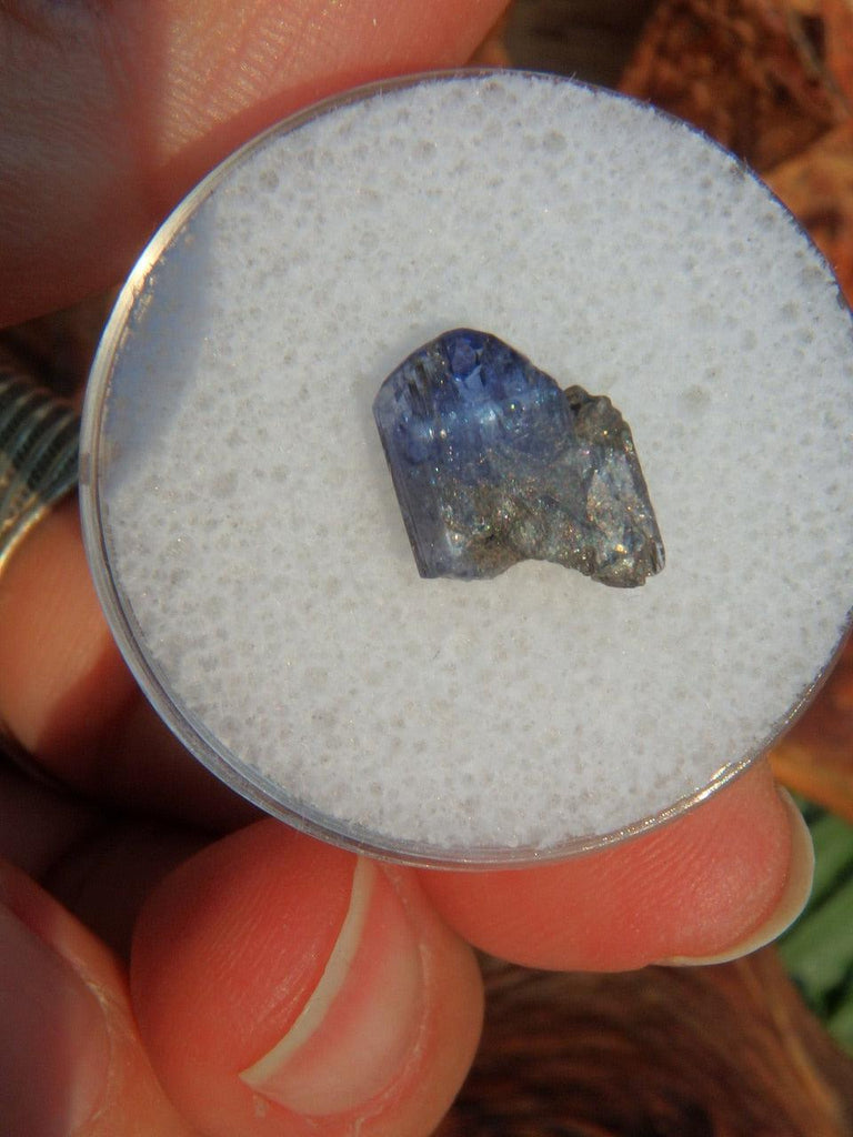 Gemmy Collectors Tanzanite Point in Protective Case 1 - Earth Family Crystals