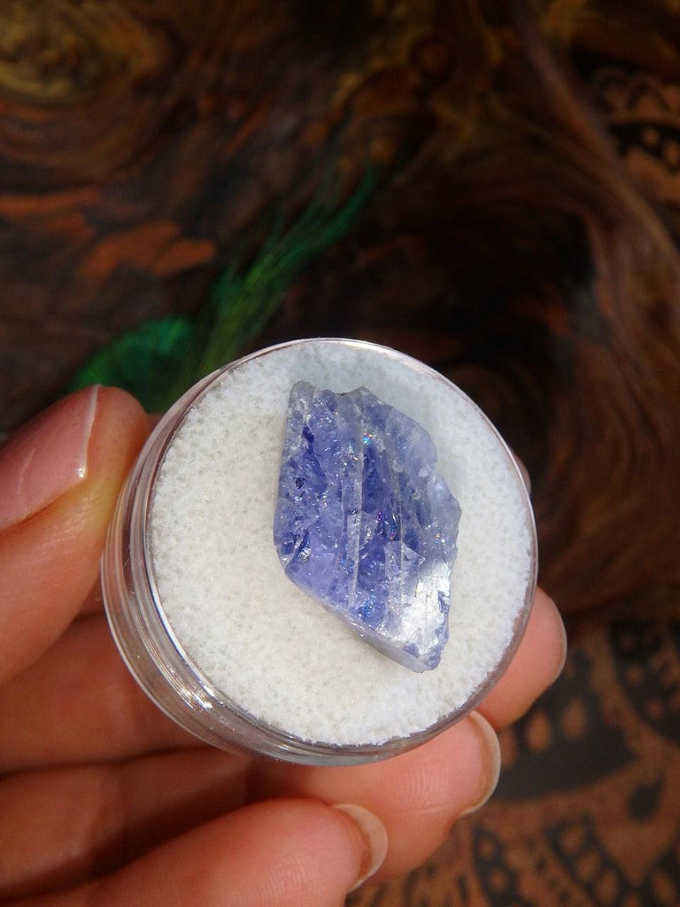 Fantastic Rare Tanzanite Raw Specimen Chunk in Collectors Box - Earth Family Crystals