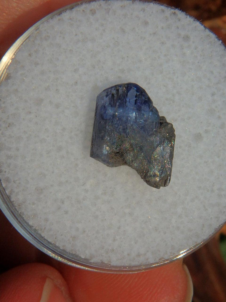 Gemmy Collectors Tanzanite Point in Protective Case 1 - Earth Family Crystals
