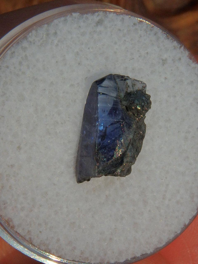Gemmy Collectors Tanzanite Point in Protective Case 2 - Earth Family Crystals