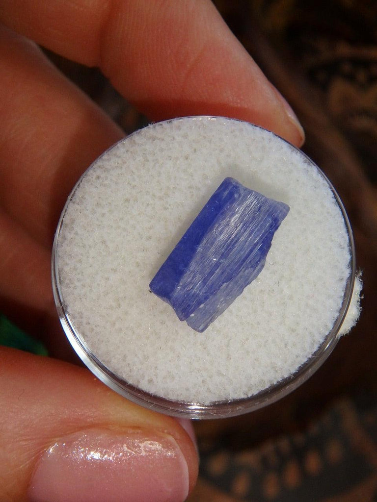 Gemmy Rare Tanzanite Raw Specimen Point in Collectors Box - Earth Family Crystals