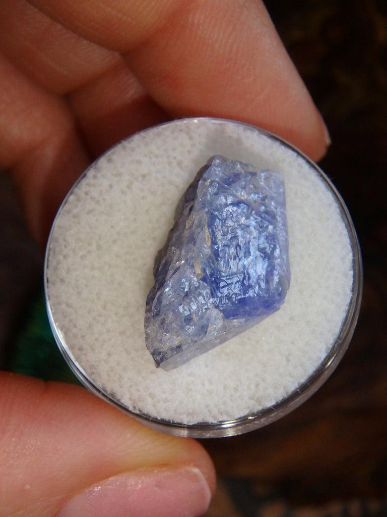 Fantastic Rare Tanzanite Raw Specimen Chunk in Collectors Box - Earth Family Crystals