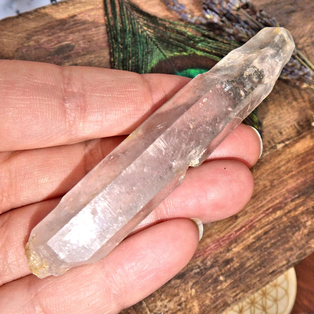 Tibetan Quartz Point Specimen 8 - Earth Family Crystals