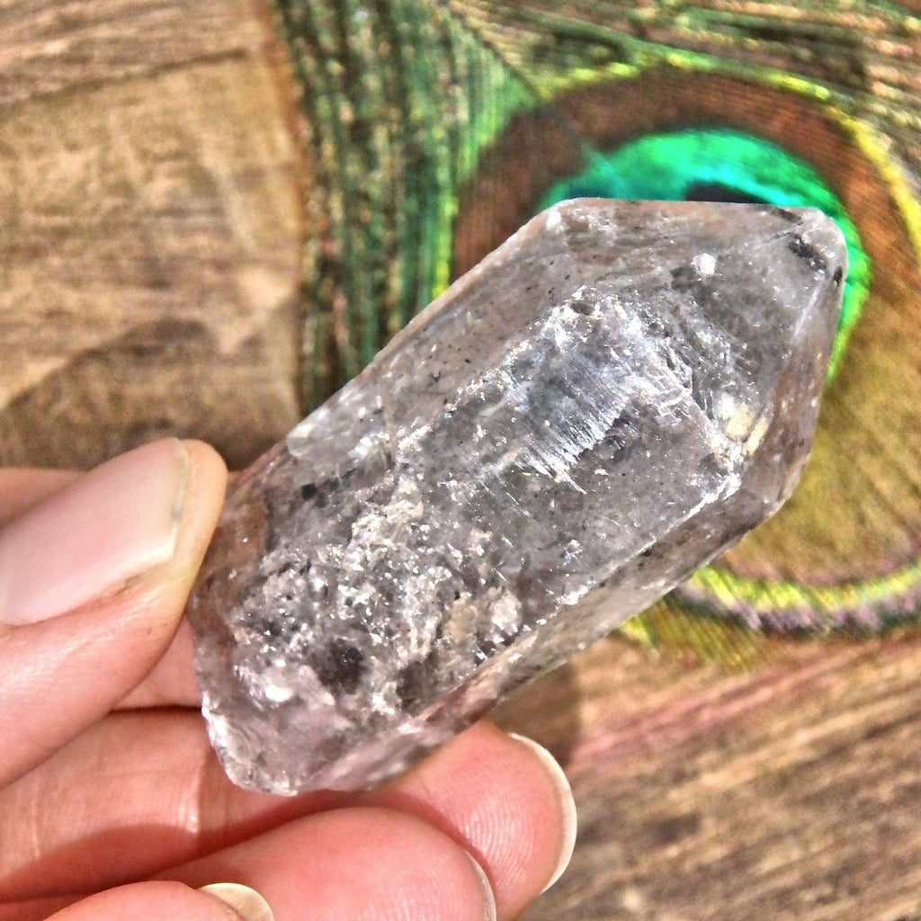 Moving Black Fragment Tibetan Quartz Point 1 - Earth Family Crystals