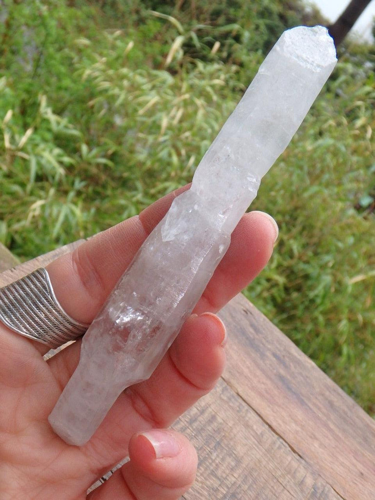 Long & Natural Tibetan Quartz Point Specimen - Earth Family Crystals