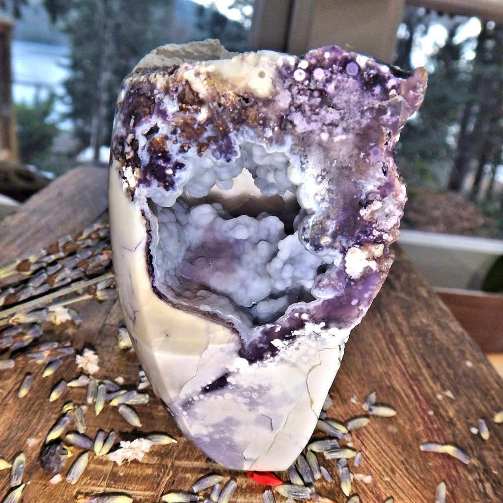 Rare Formation~ Breathtaking Druzy Cave Geode Tiffany Stone Partially Polished Standing Specimen - Earth Family Crystals