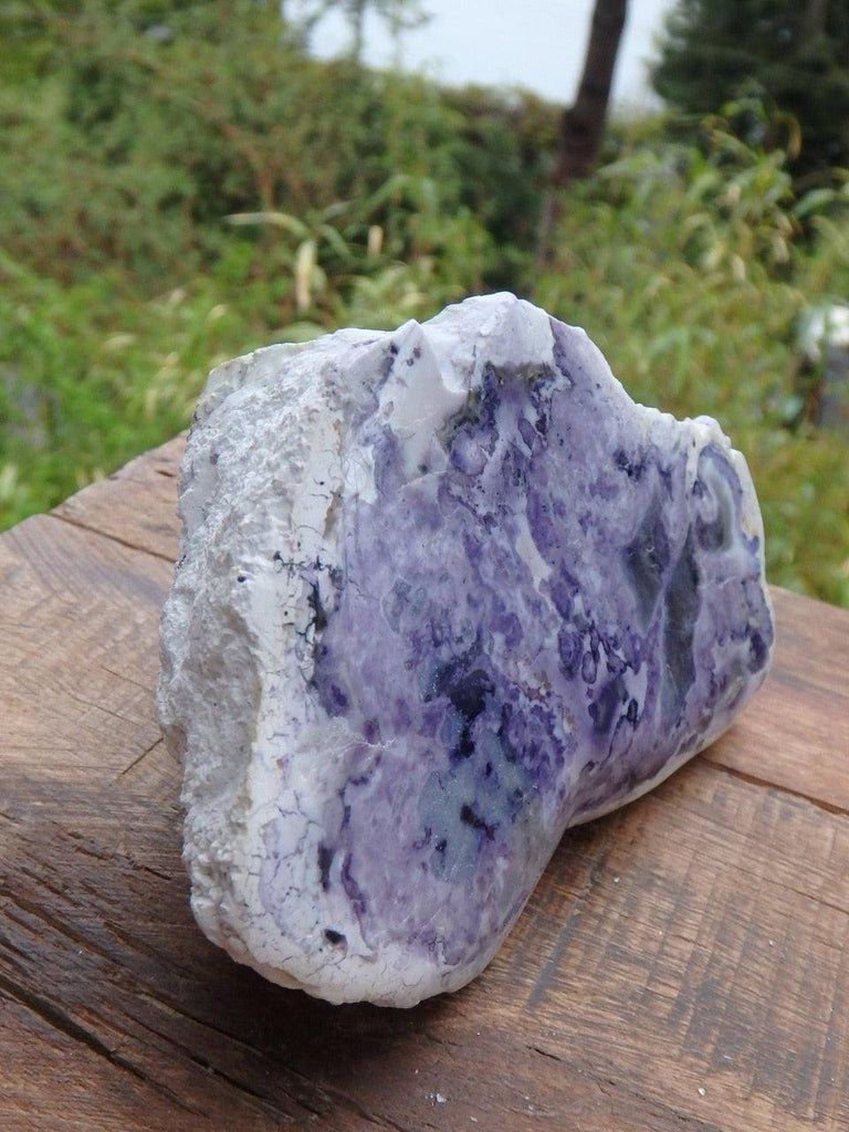 Rare! Partially Polished Creamy Purple Tiffany Stone Display Specimen - Earth Family Crystals