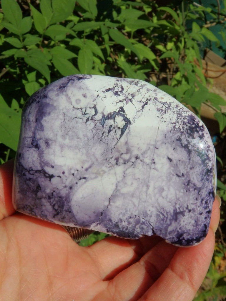 Rare! Gorgeous Pastel Purple & White Patterns Partially Polished Tiffany Stone Standing Specimen - Earth Family Crystals